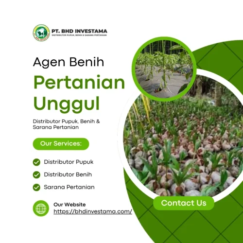 Agen Benih Pertanian Unggul