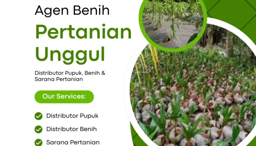 Agen Benih Pertanian Unggul