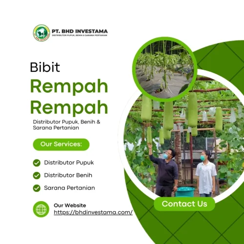 Bibit Rempah Rempah