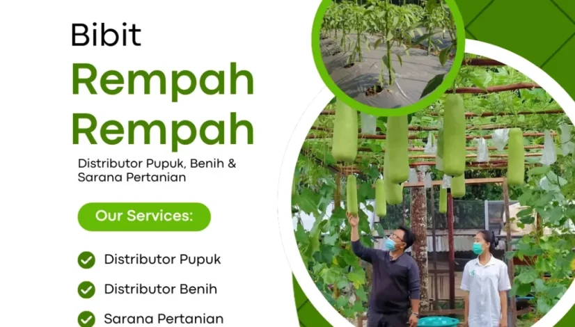 Bibit Rempah Rempah